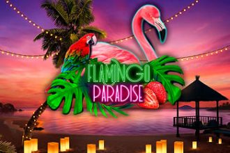 Flamingo Paradise